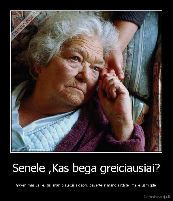 Senele ,Kas bega greiciausiai?