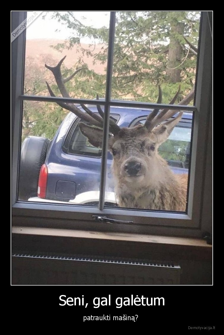 patraukti,masina,elnias,ragai