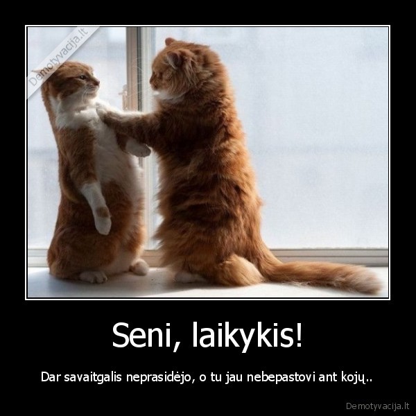 Seni, laikykis!