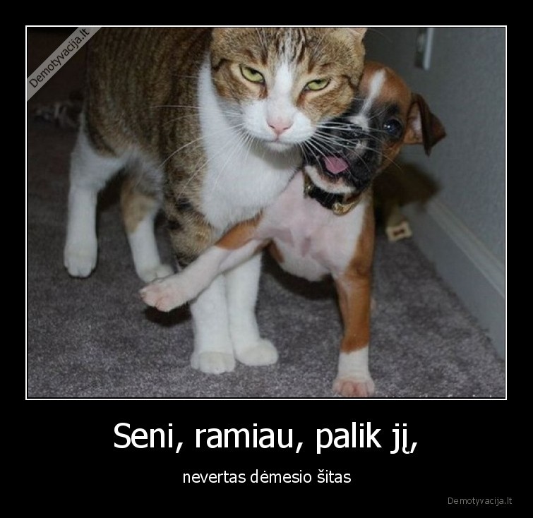 seni,ramiau,ramiai,ramink