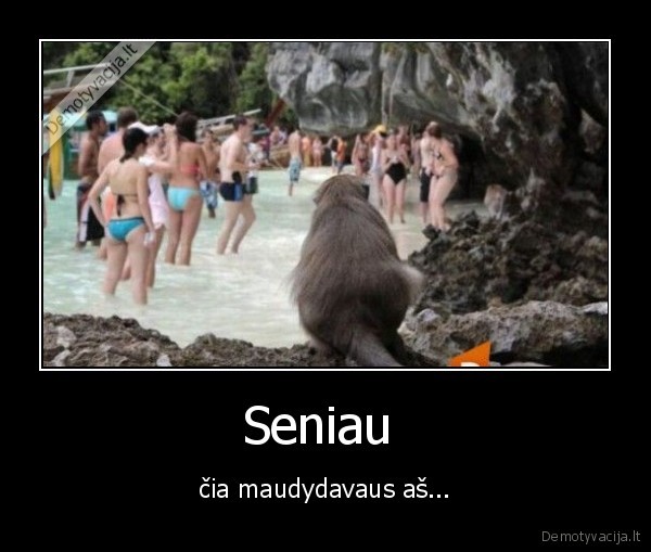 zmones,vagys,pasisavina,kas, ne, ju