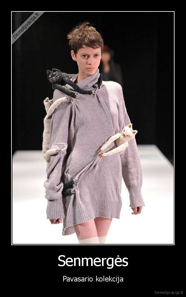 senmerge,kaciu, dama