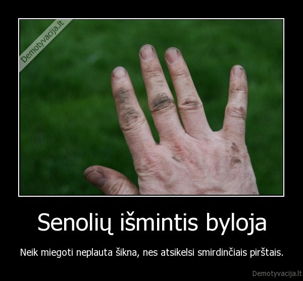 Senolių išmintis byloja