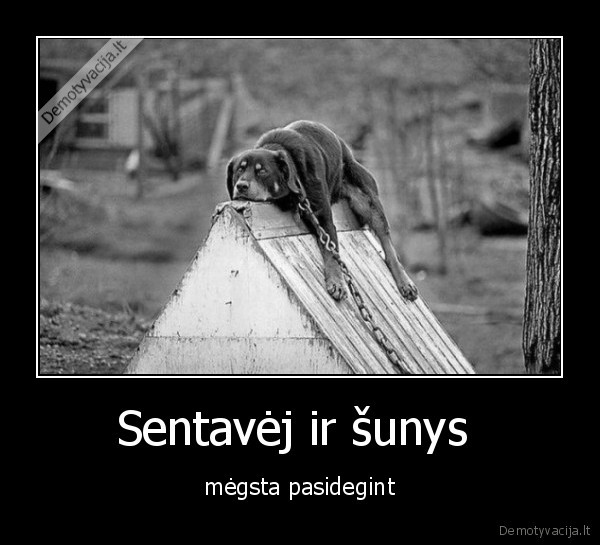 Sentavėj ir šunys 
