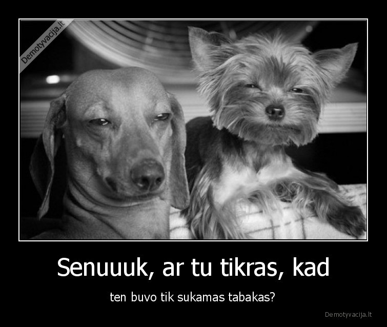 tabakas,cigarete,420,suo,katinas