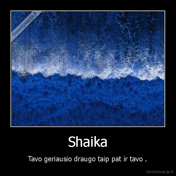 shaika,draugai,tu