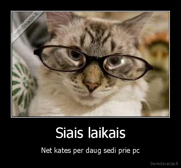 Siais laikais
