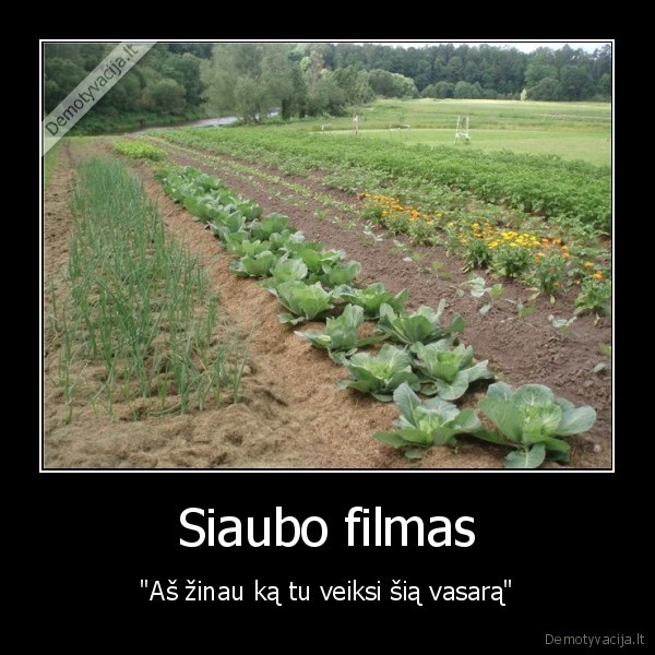 vasara,kaimas,atostogos,siaubas,siaubo, filmas