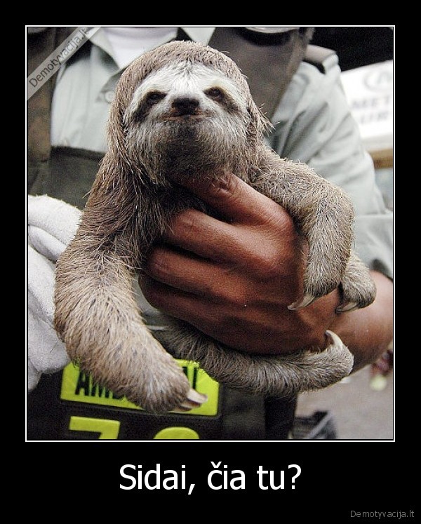 kur, tu, pradingai., kubilius