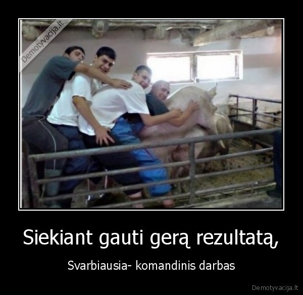 komandinis,darbas,svarbiausia