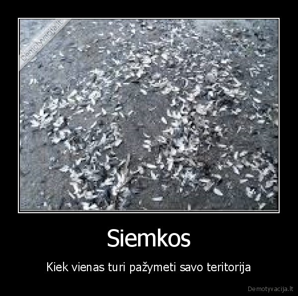siemkos