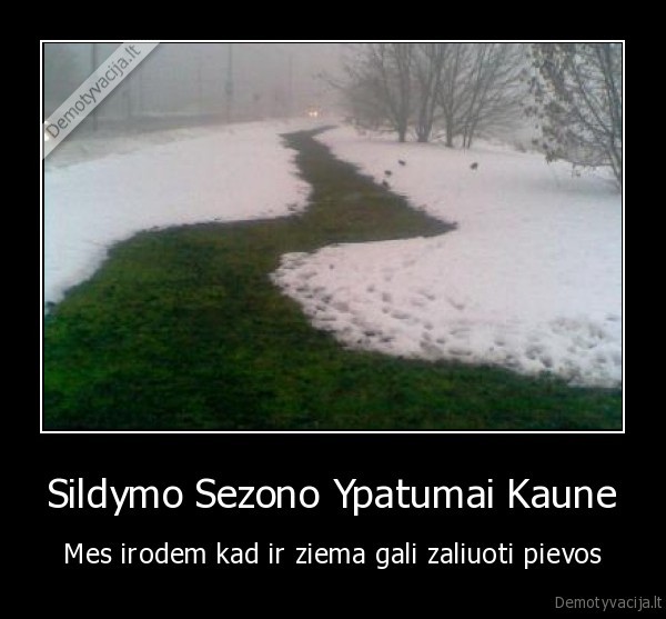 Sildymo Sezono Ypatumai Kaune