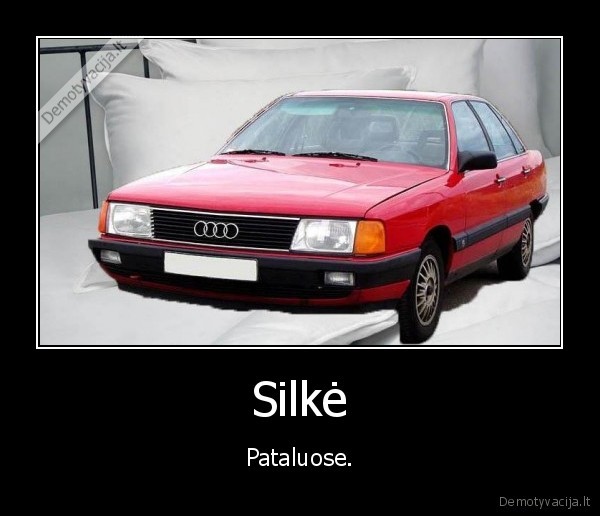 silke,audi,patalai,maistas