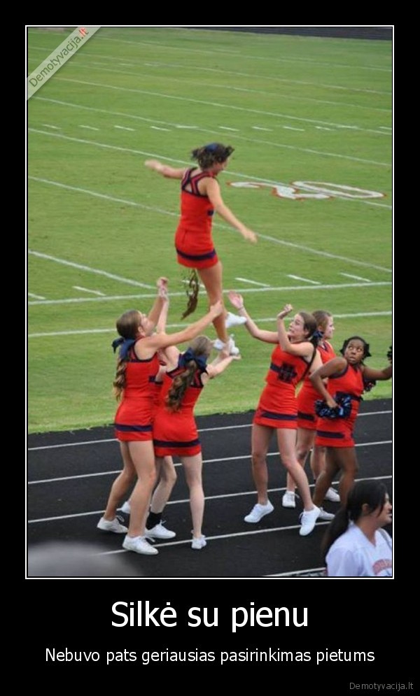 tryda,silke, su, pienu,viduriavimas,juodas, humoras