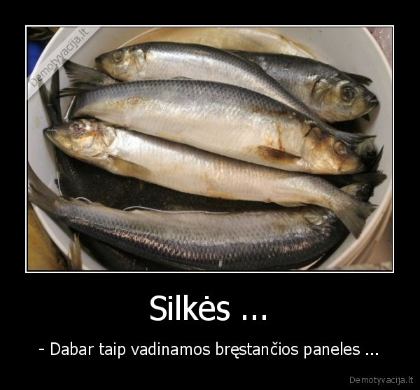 silkes,silkes,bresti