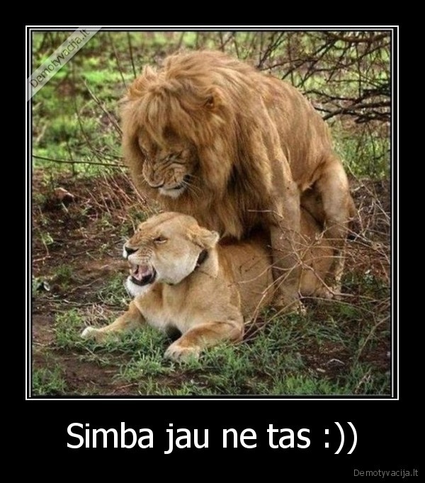 Simba jau ne tas :))