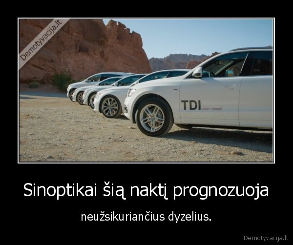 sinoptikai,orai,saltis,dyzelis