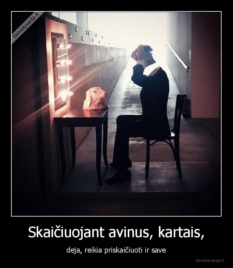 avinai,avinas,skaiciuoti,avinus,save