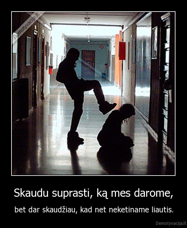 Skaudu suprasti, ką mes darome,