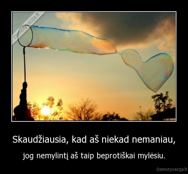 Skaudžiausia, kad aš niekad nemaniau,