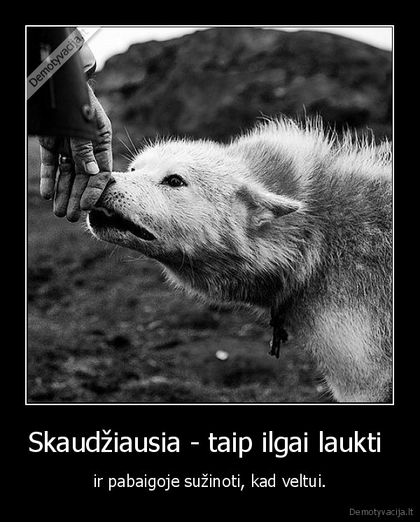 Skaudžiausia - taip ilgai laukti 