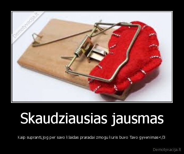 Skaudziausias jausmas