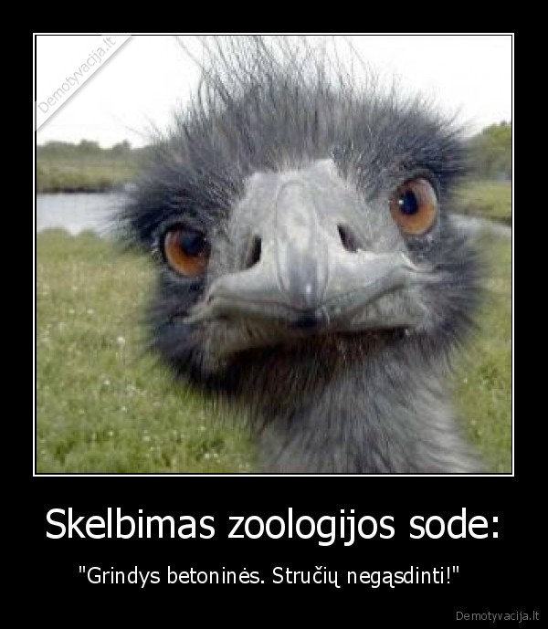 juokinga,strutis,skelbimas