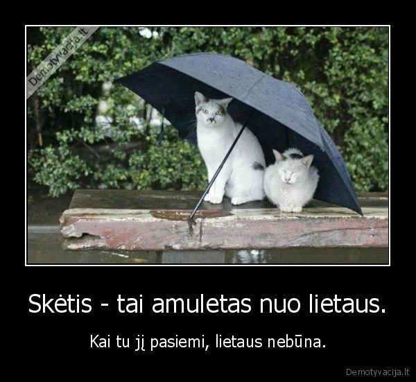 sketis,lyja,lietus,orai