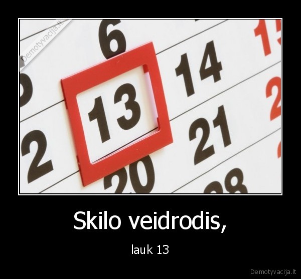Skilo veidrodis,
