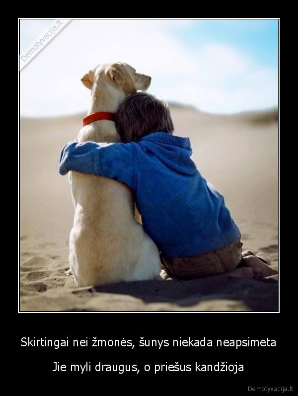 sunys,suns, meile,draugyste