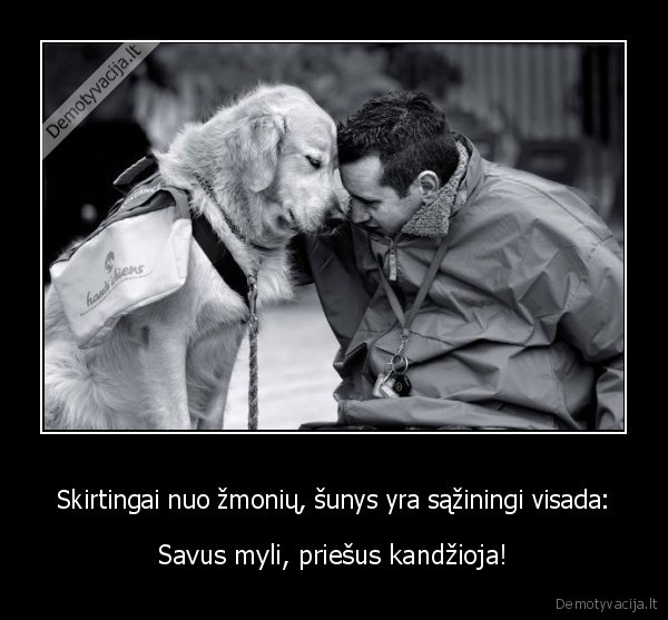 Skirtingai nuo žmonių, šunys yra sąžiningi visada: