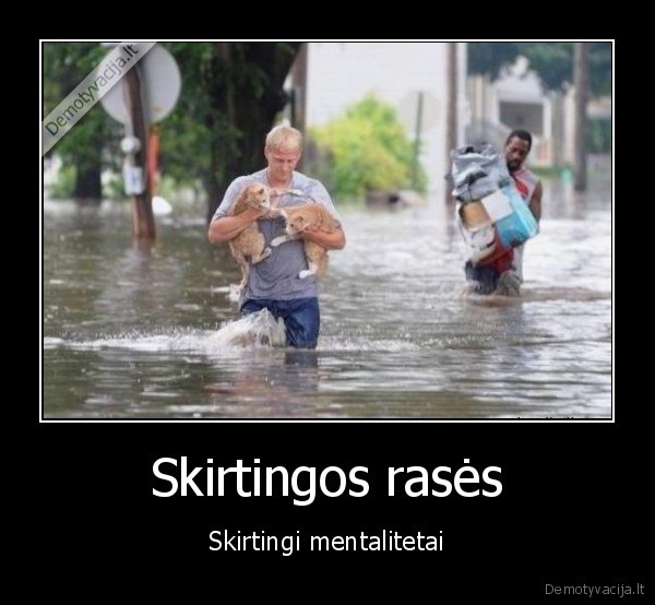 juoda,balta,mastymas,suvokimas