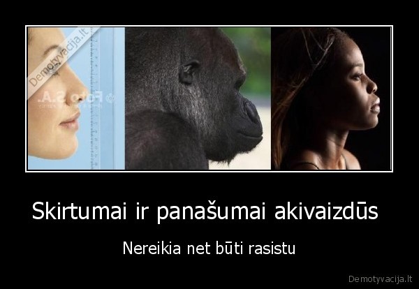 baltas,ne,gorila,juodas,gorila