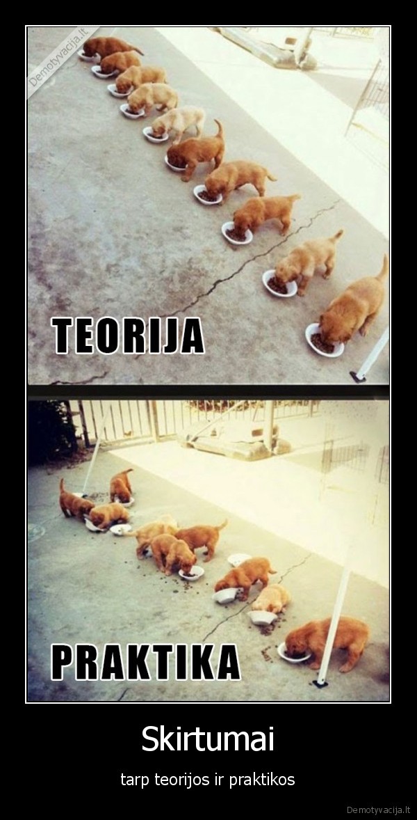 praktika,teorija,skirtumai