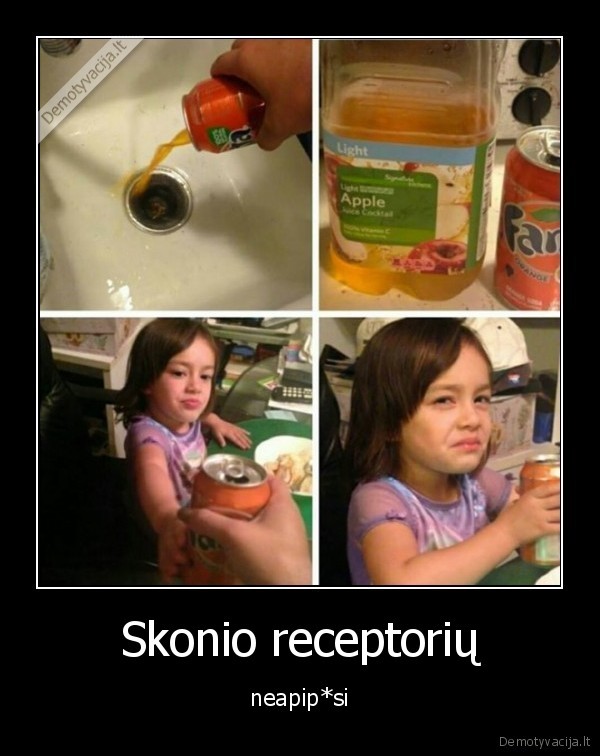 receptoriai,skonis