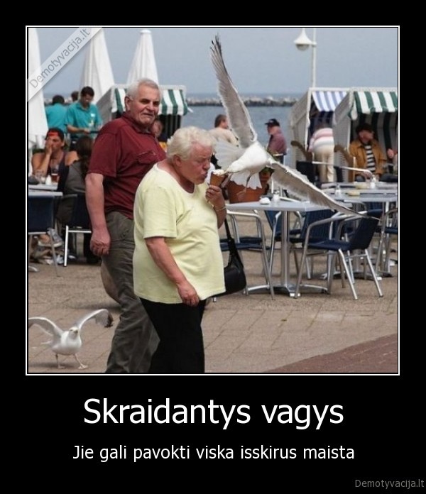 Skraidantys vagys