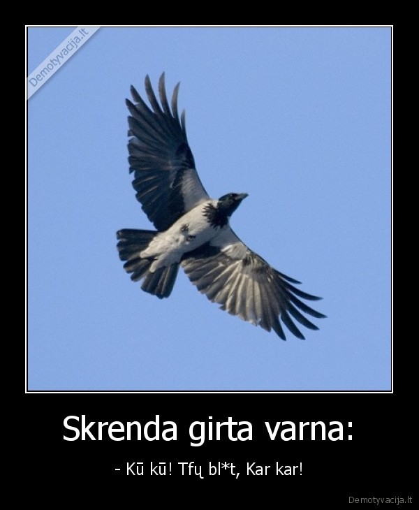 Skrenda girta varna: