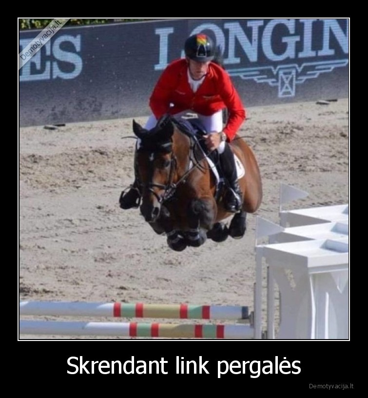 skrenda,zokejus,zirgas