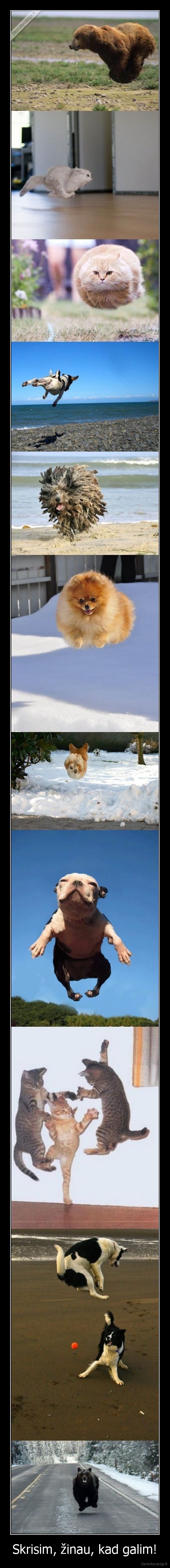 Skrisim, žinau, kad galim!