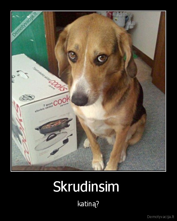 Skrudinsim 