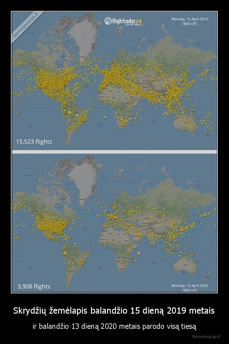 skrydziai,pandemija,amerika,skraido