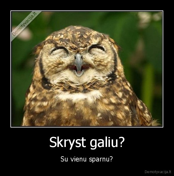 Skryst galiu?