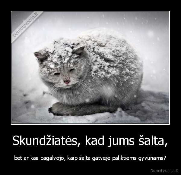 Skundžiatės, kad jums šalta,