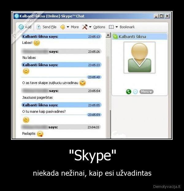&quot;Skype&quot;
