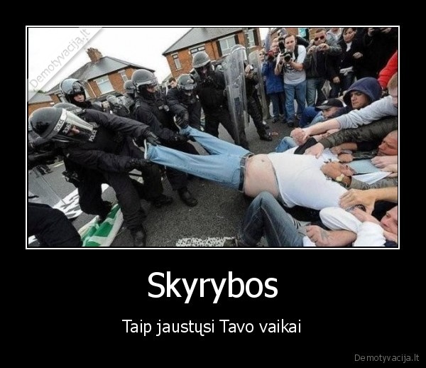 Skyrybos