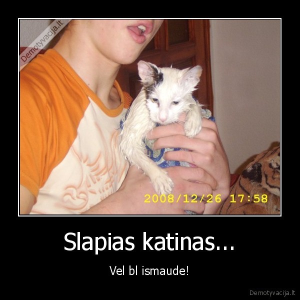 Slapias katinas...