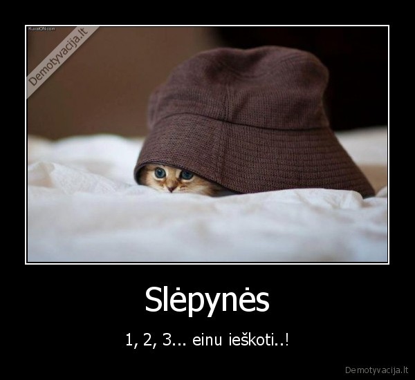 gyvunas,kepure,kate,sleptis,miela,mielas, kaciukas,kaciukas