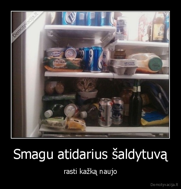 Smagu atidarius šaldytuvą