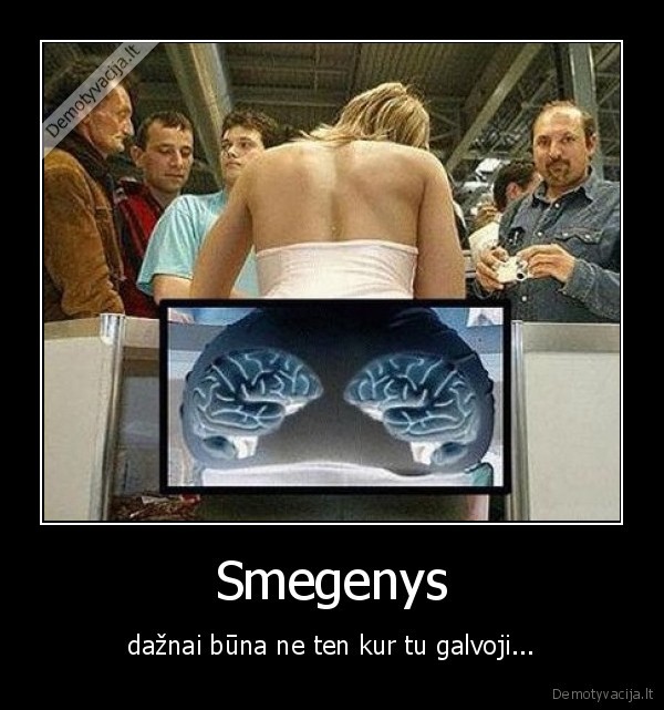 Smegenys