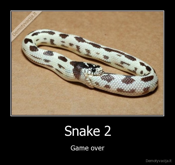 Snake 2